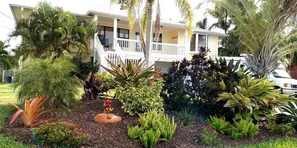 Image 4: Tropical Landscaping!