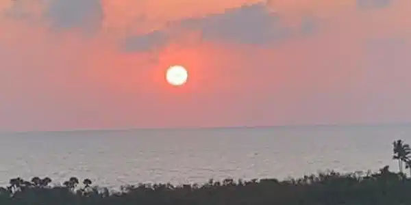 7225 Pelican Bay