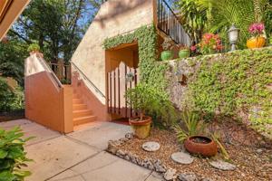 325 Bay Forest