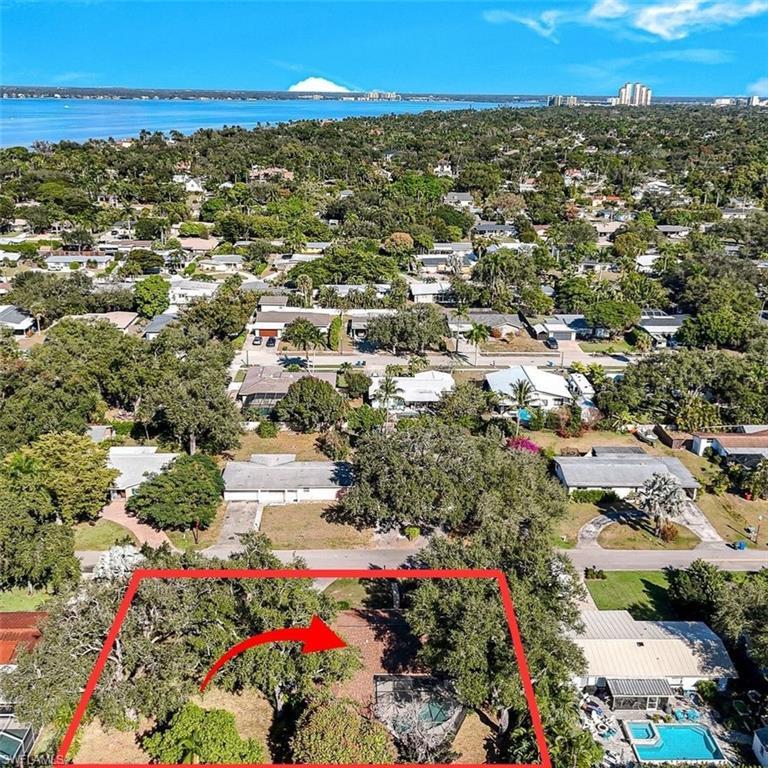 Image 2: Oversized Lot