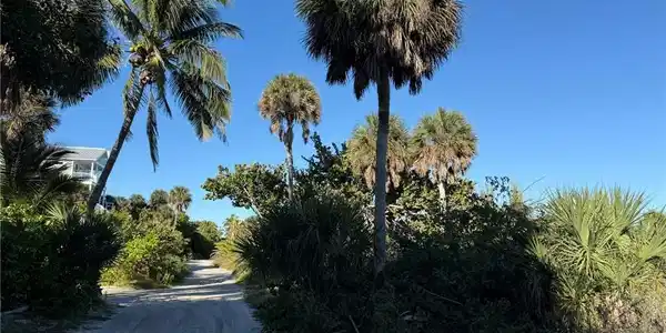 Image 4: Street View