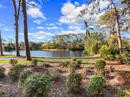 15103 Royal Fern