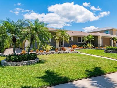 785 Willow