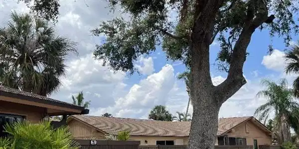 17316 Timber Oak LN