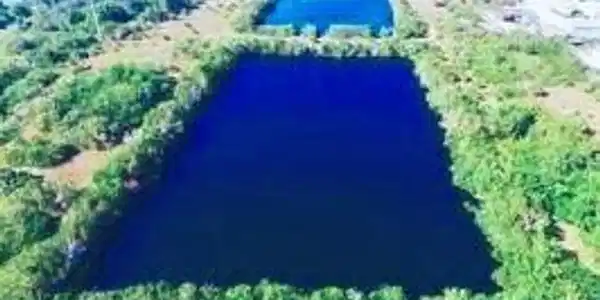 Image 3: Aerial view of property and surrounding area featuring a large body of water