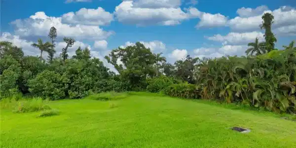 Image 4: View of yard