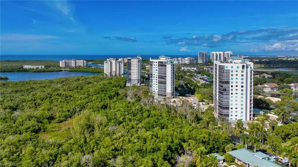 Image 1: Drone View