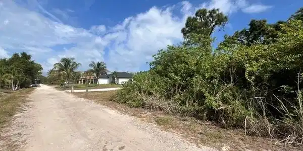 Image 4: Unimproved parcel featuring extensive natural foliage and a partial perimeter of mature trees