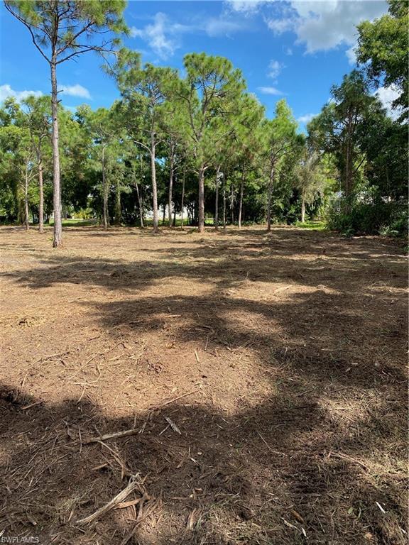 Image 2: Photos from land clearing in November 2022