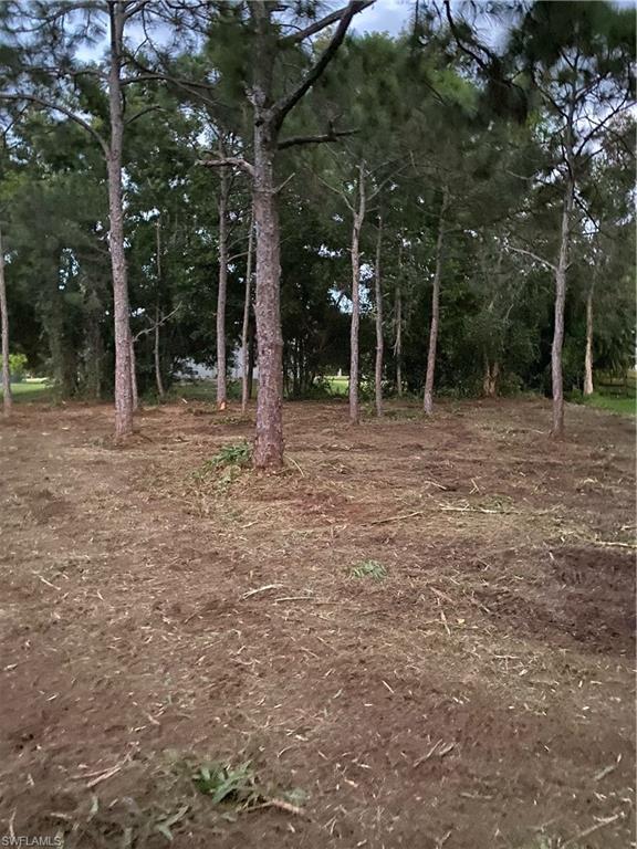 Image 3: Photos from land clearing in November 2022