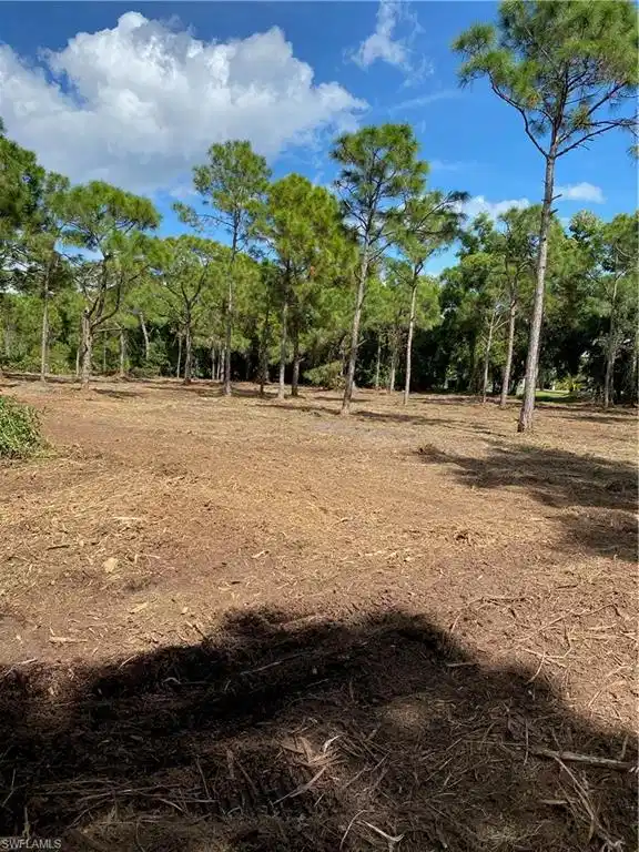 Image 1: Photos from land clearing in November 2022