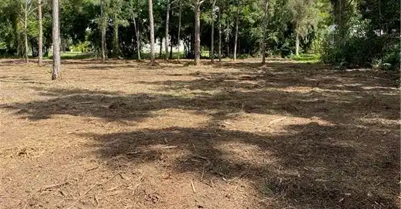 Image 2: Photos from land clearing in November 2022