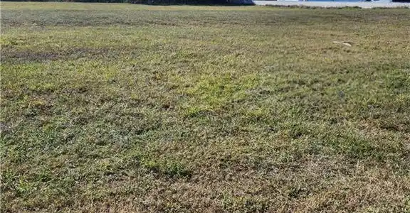 Image 2: View from the front of the property