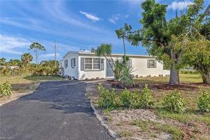 931 Tropical Palm
