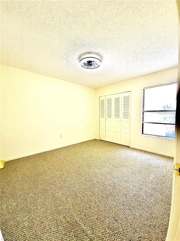 Image 4: Bright interior space featuring textured wall-to-wall carpeting and a ceiling-mounted light fixture