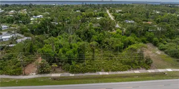 Image 3: Expansive lot featuring a dense tree canopy, paved road frontage, and a distant water body