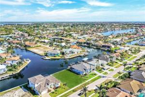 439 Waterleaf