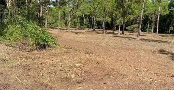 Image 4: Photos from land clearing in November 2022