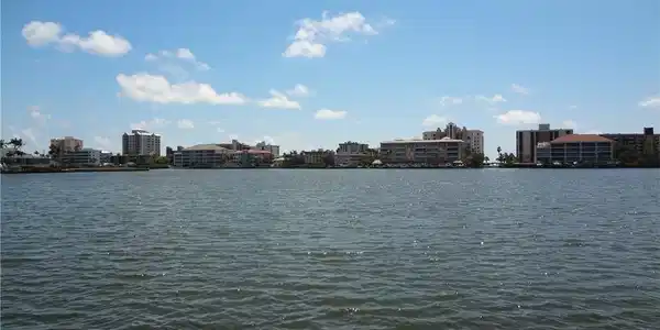 342 Bayside
