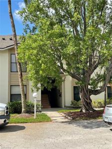 5495 Peppertree DR