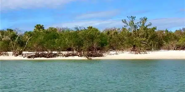 Lot 75 Cape Romano