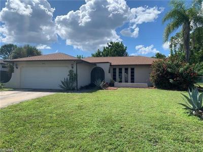 3926 Palm Tree BLVD