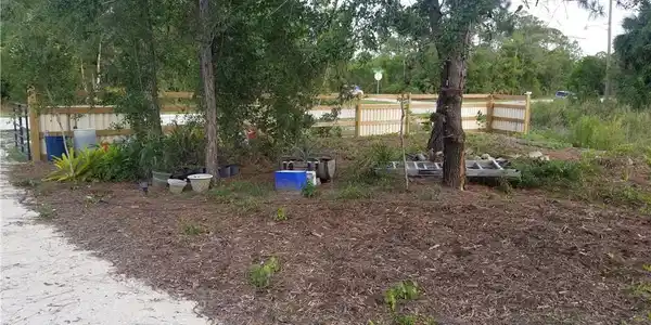 Image 3: View of yard