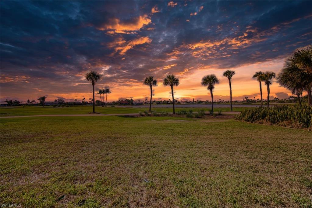 Image 4: Yard at sunset