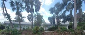 13769 River Forest