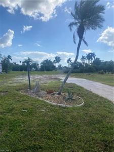 133 Raintree LN