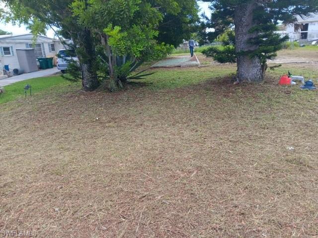 Image 4: View of yard