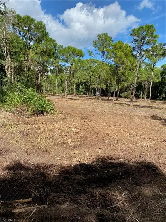 Image 1: View of cleared land 2022