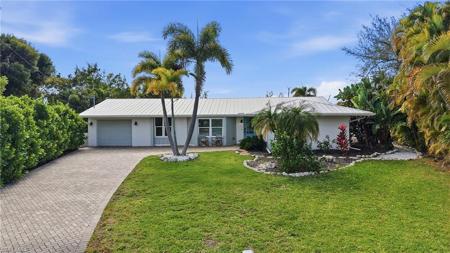 1806 Ibis LN E