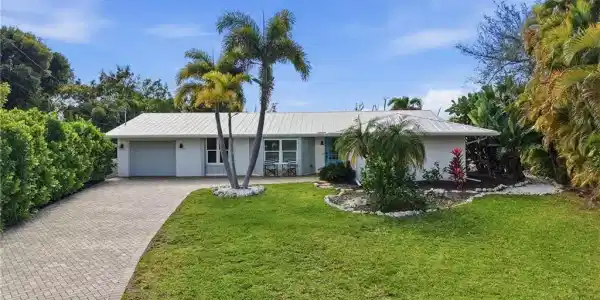 1806 Ibis LN E