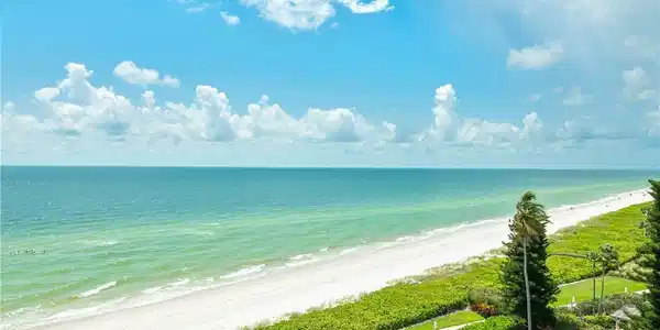 3951 Gulf Shore N