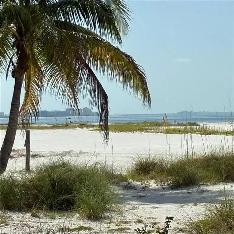 Image 1: Palm tree foreground, white sand beach, coastal vegetation, expansive water, distant city skyline