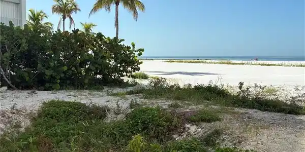 Image 2: White sandy beach with calm ocean waters and palm trees