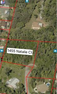 1455 Natalie CT