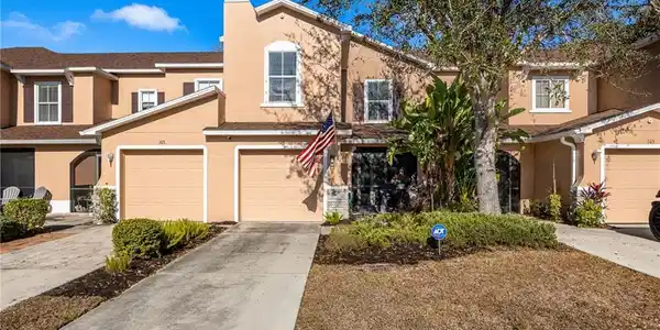 15141 Piping Plover CT