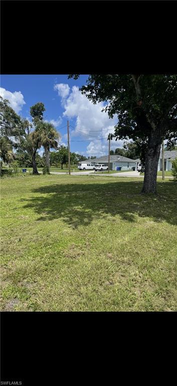 Image 2: View of grassy yard