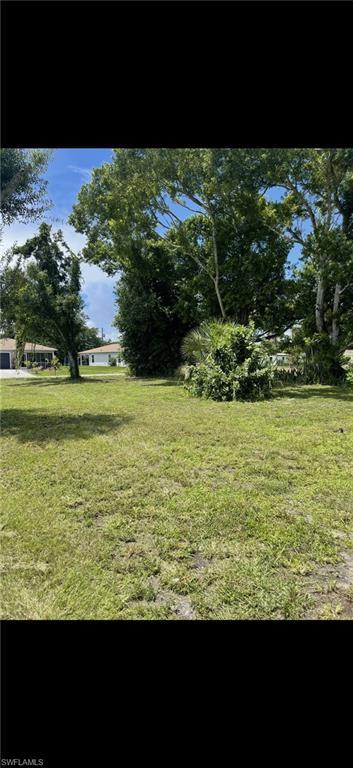 Image 3: View of green lawn