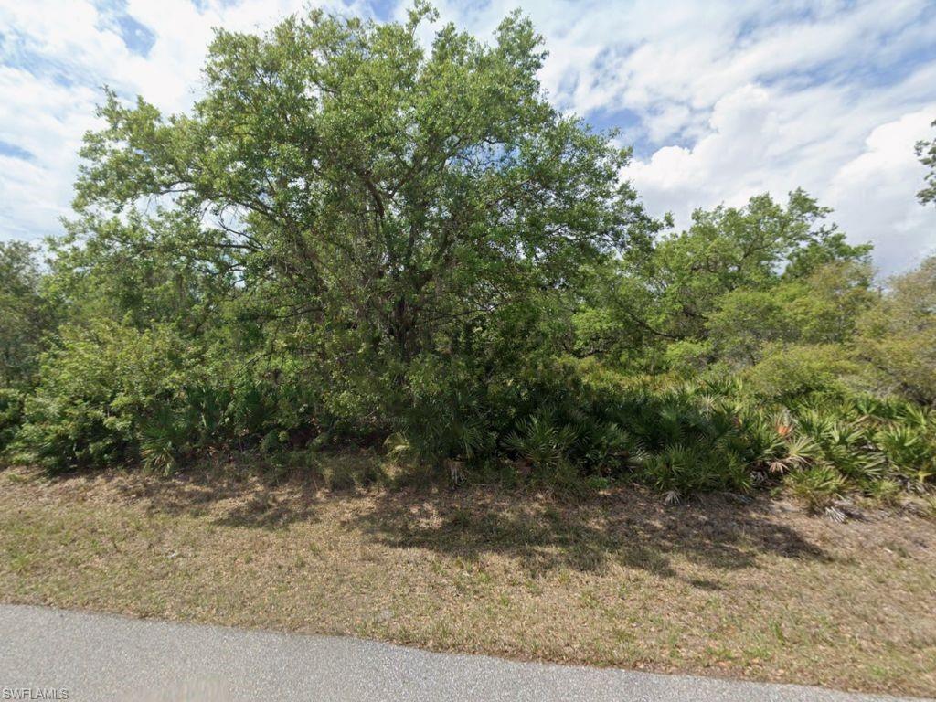 Image 1: View of undeveloped land