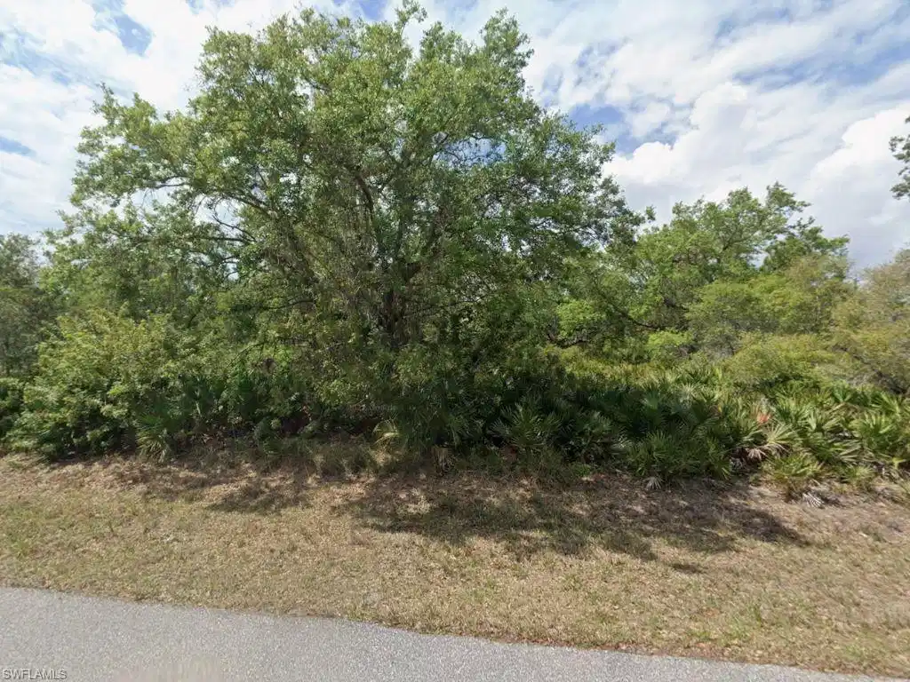 Image 1: View of undeveloped land