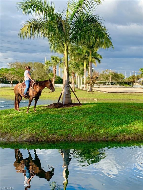 Image 3: Lush, tropical setting for equestrians and horses