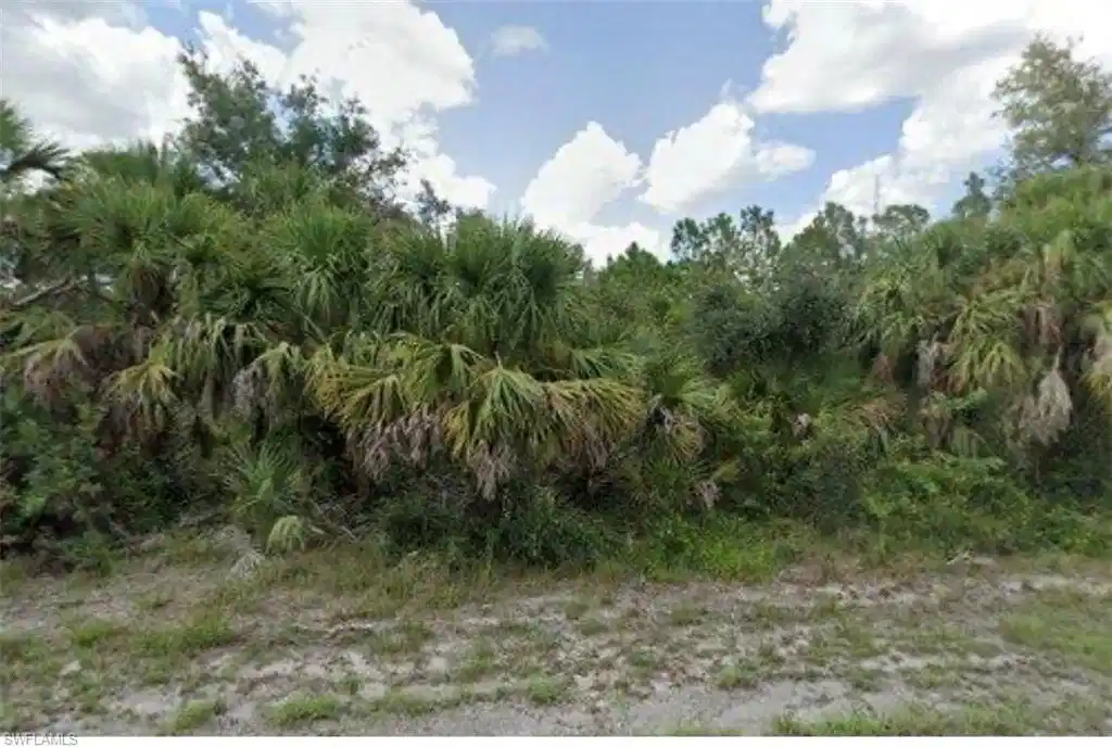 Image 1: View of nature