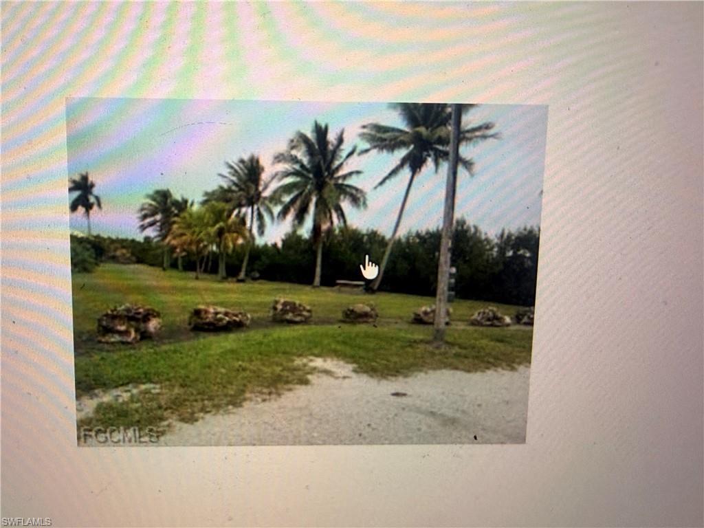 Image 1: View of green lawn