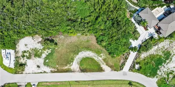 Image 3: Expansive cleared lot with surrounding mature trees and partial grass coverage