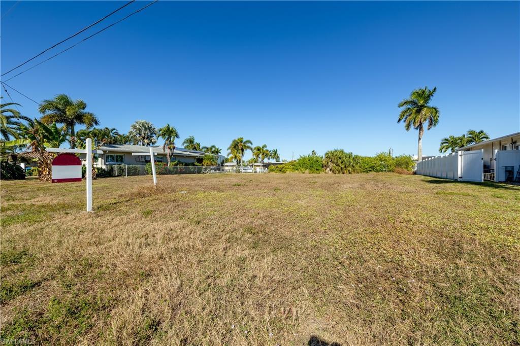 Image 3: View of yard