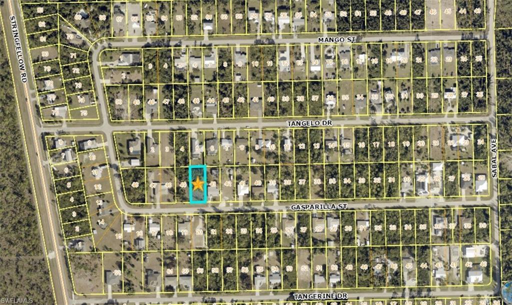 Image 3: Plat Map. Illustrating the property's location and parcel divisions within the depicted area