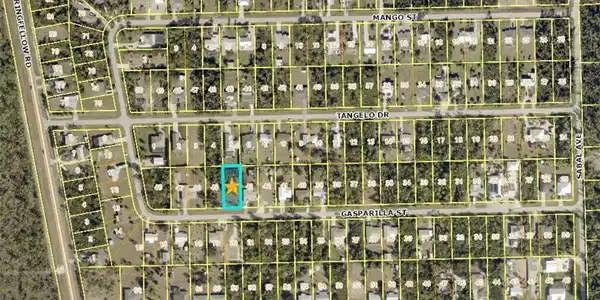Image 3: Plat Map. Illustrating the property's location and parcel divisions within the depicted area
